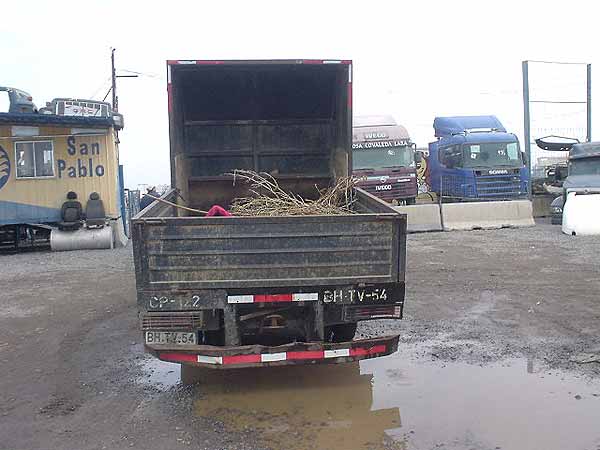 FOCO Mitsubishi CANTER 2008  USADO  EN DESARME