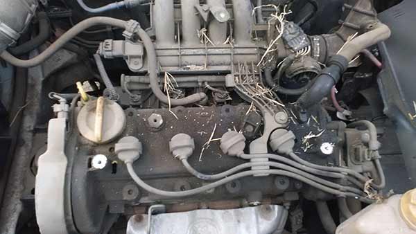  Fiat PALIO 2006    EN DESARME